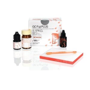 FUJI PLUS SET cement